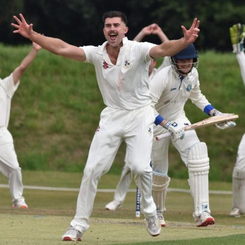 Fraser Hay appeals for an lbw